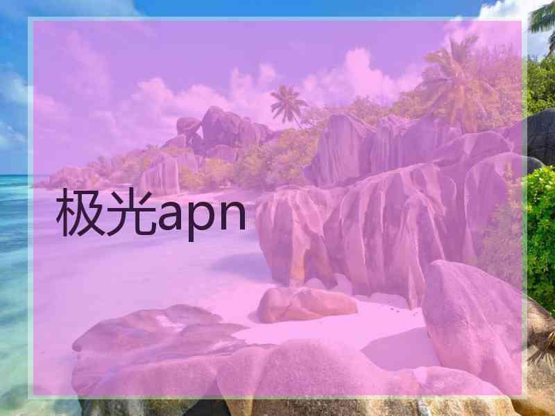 极光apn