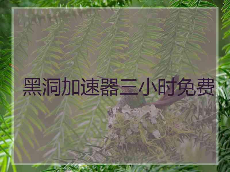 黑洞加速器三小时免费