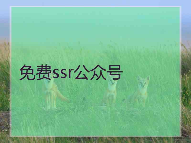 免费ssr公众号