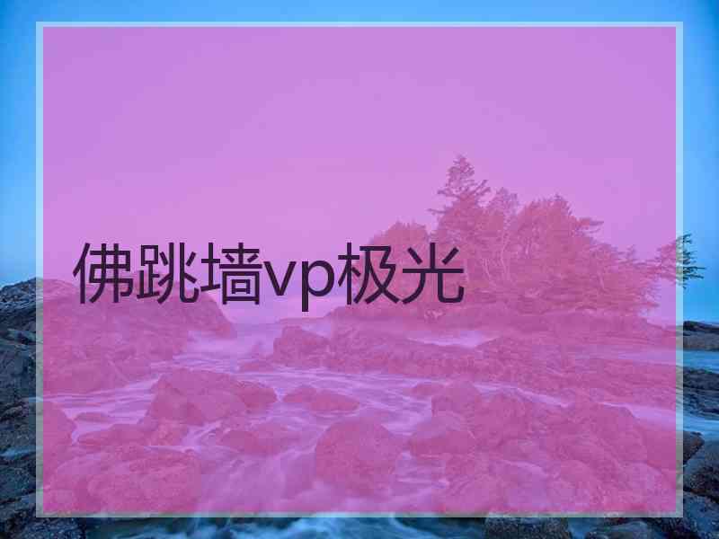 佛跳墙vp极光