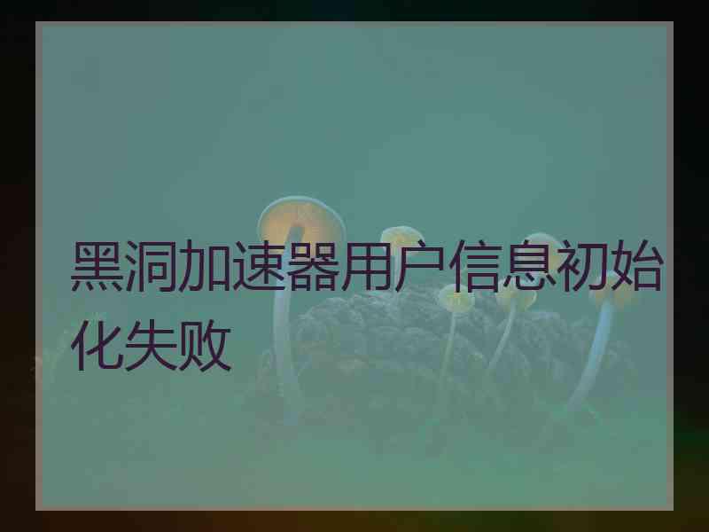 黑洞加速器用户信息初始化失败