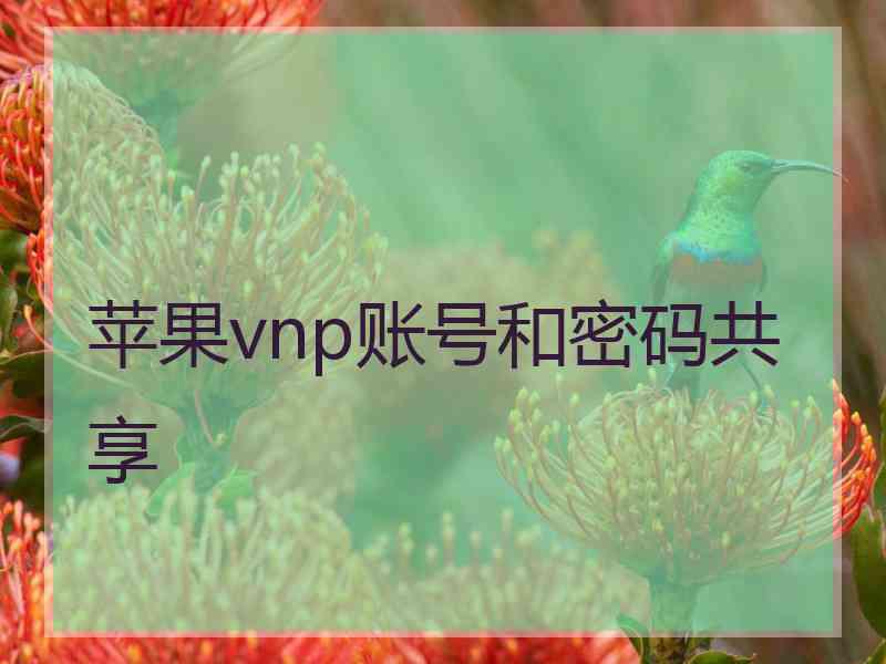 苹果vnp账号和密码共享