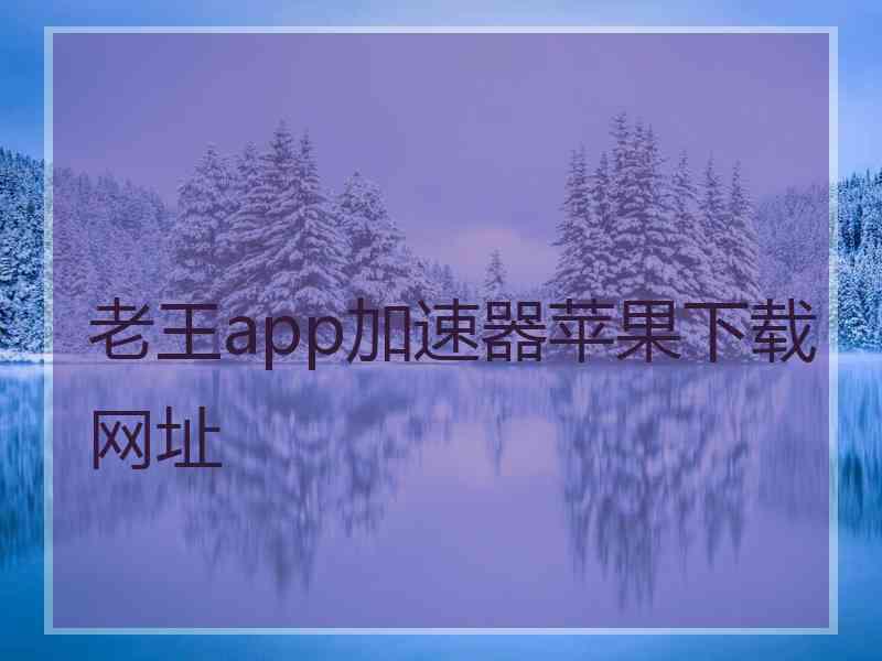 老王app加速器苹果下载网址