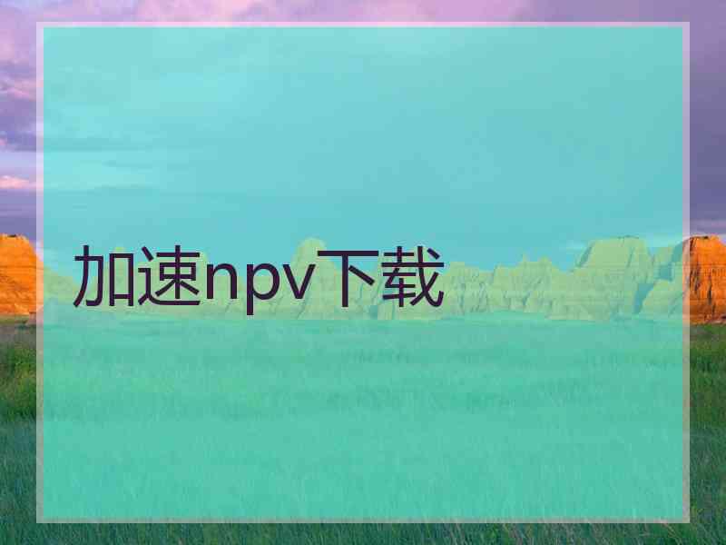 加速npv下载