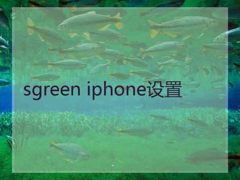 sgreen iphone设置