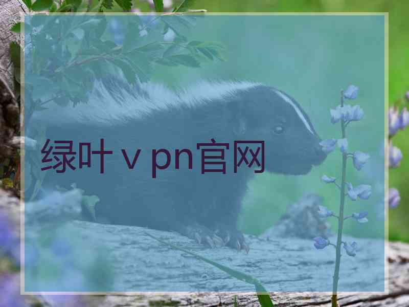 绿叶ⅴpn官网