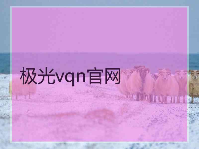 极光vqn官网