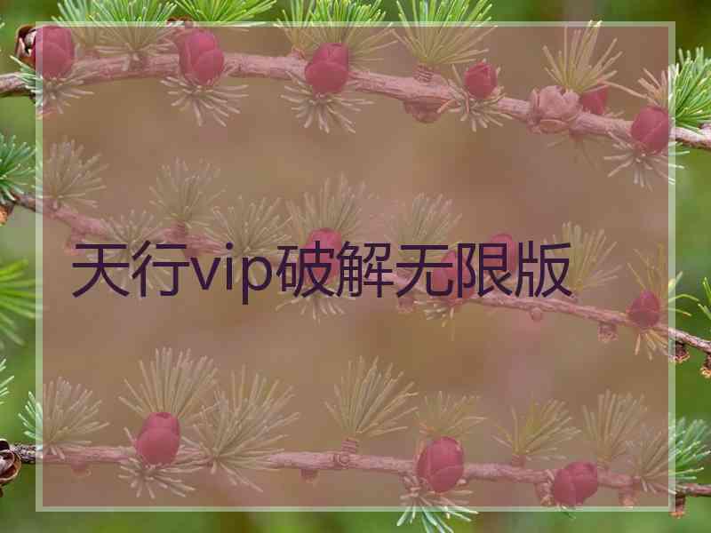 天行vip破解无限版