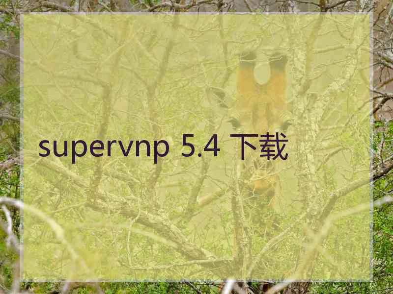 supervnp 5.4 下载