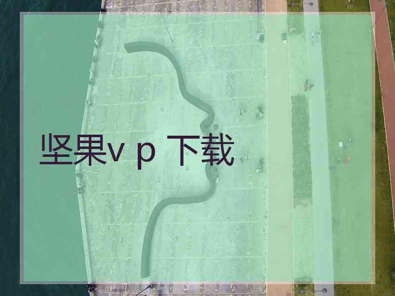 坚果v p 下载