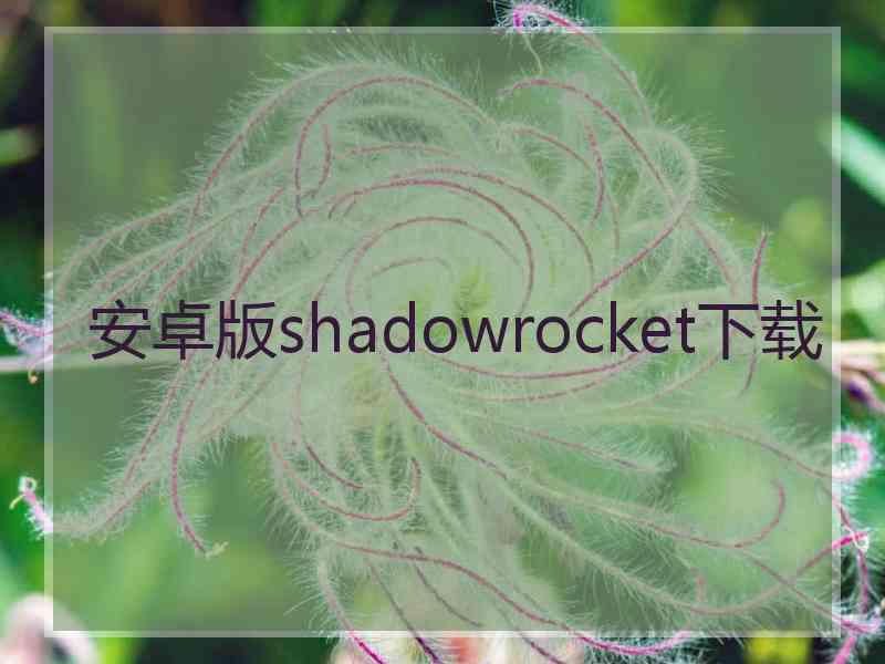 安卓版shadowrocket下载