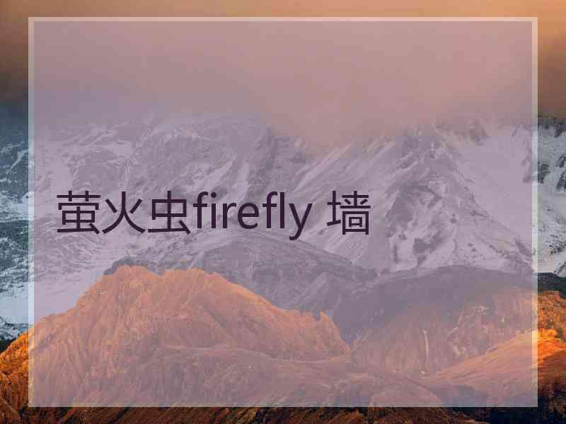 萤火虫firefly 墙