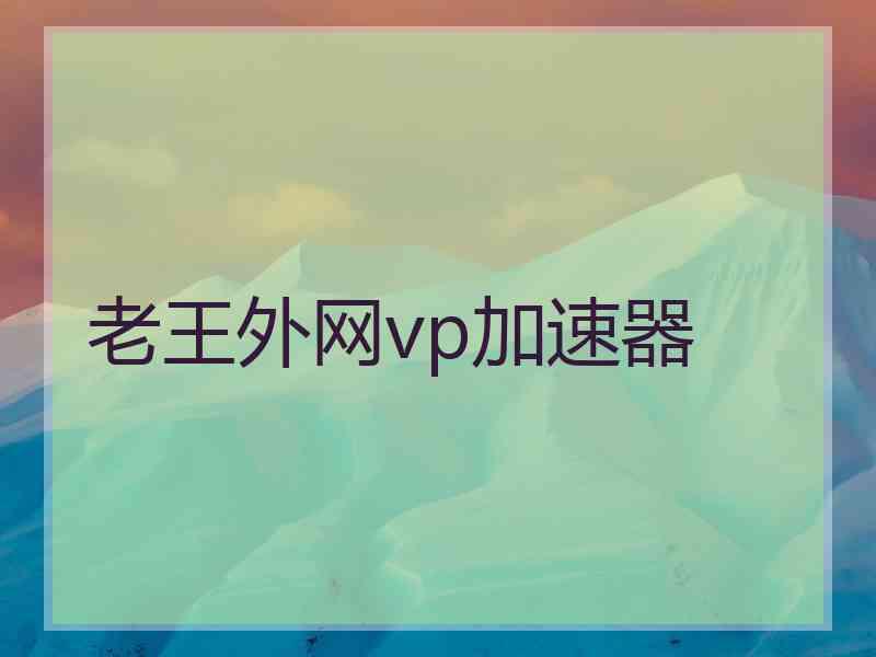 老王外网vp加速器