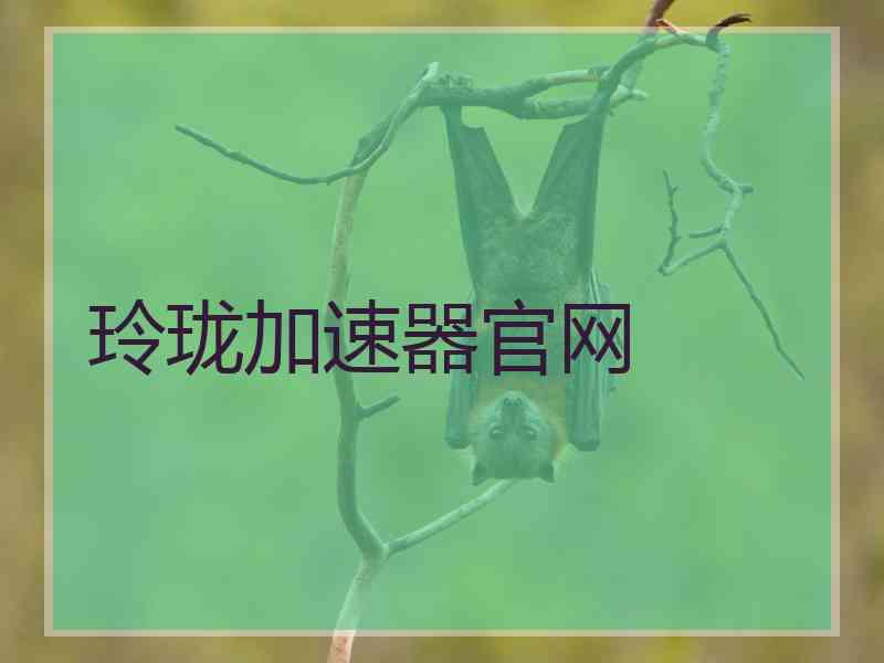 玲珑加速器官网