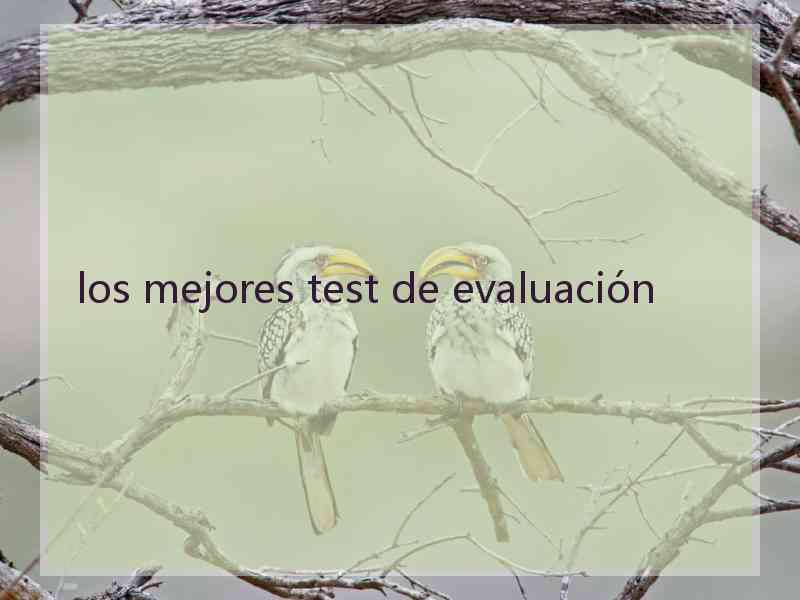 los mejores test de evaluación