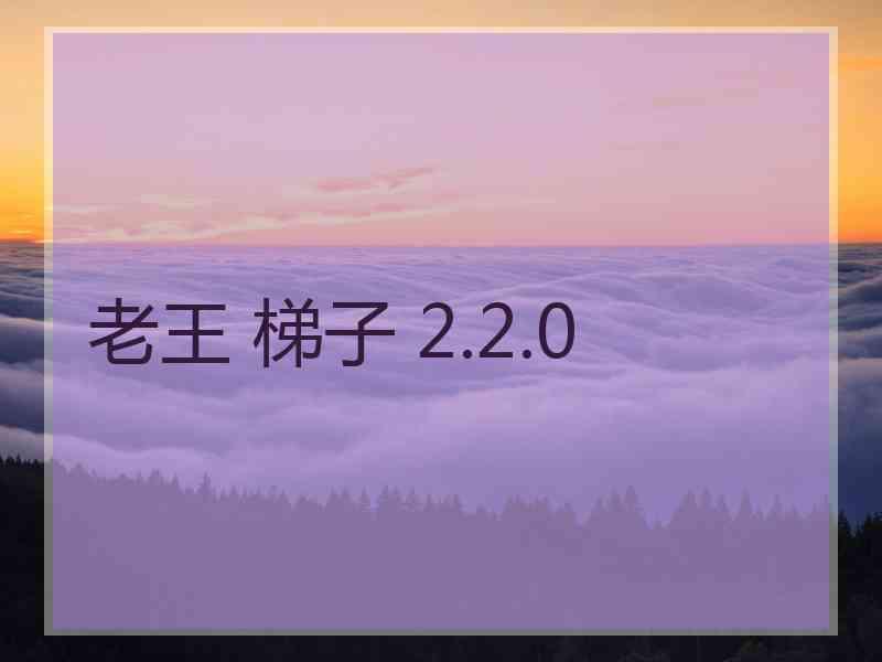 老王 梯子 2.2.0