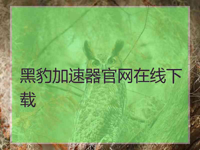 黑豹加速器官网在线下载