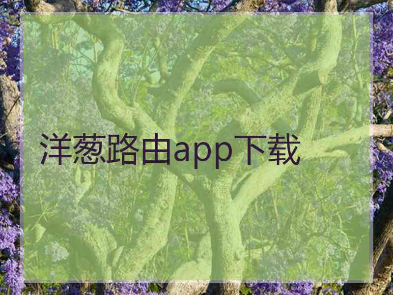 洋葱路由app下载