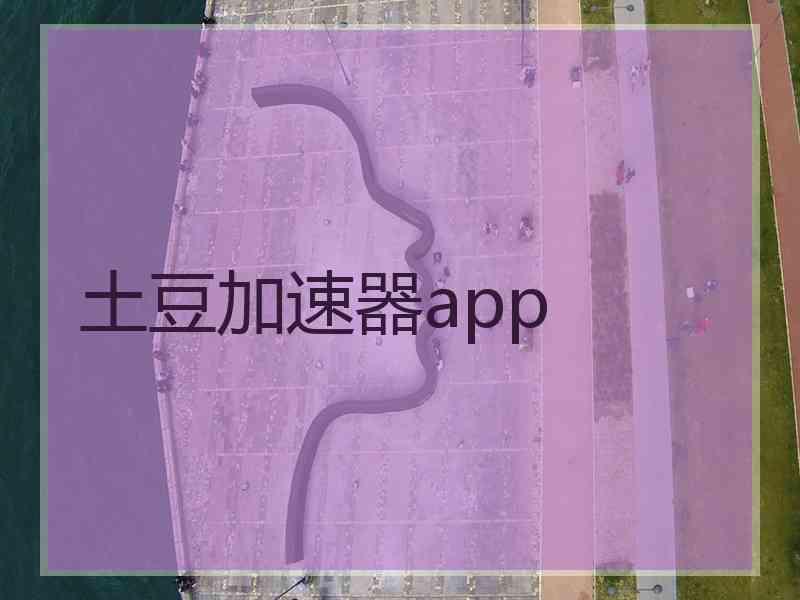 土豆加速器app