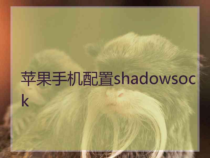 苹果手机配置shadowsock