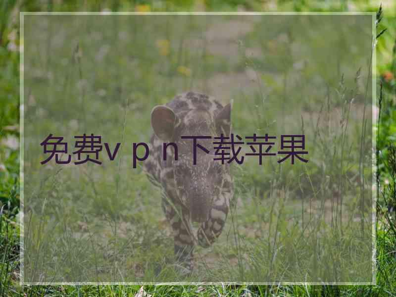 免费v p n下载苹果