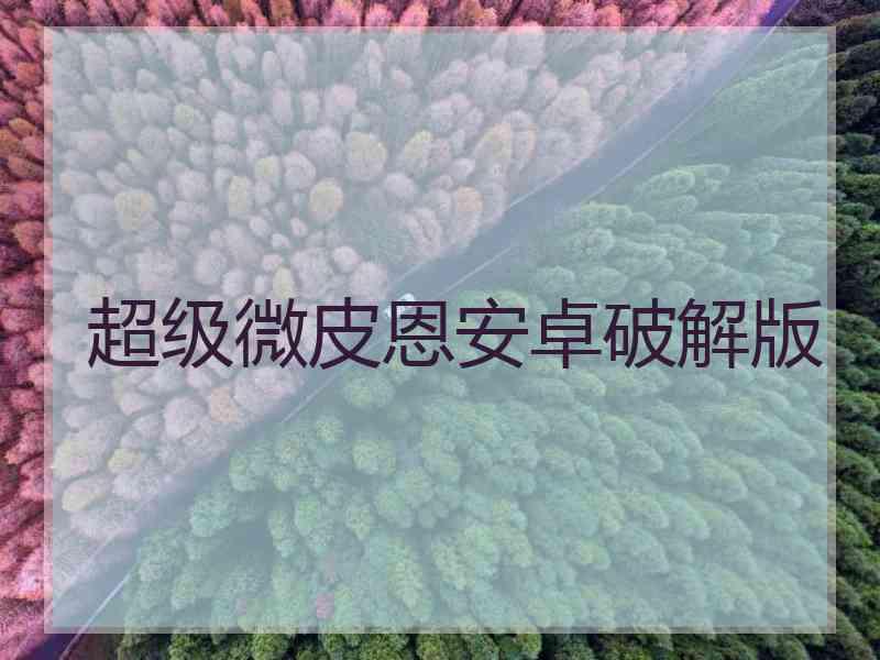 超级微皮恩安卓破解版