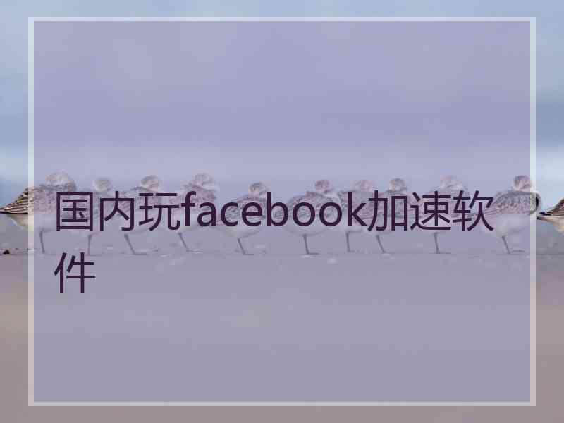 国内玩facebook加速软件