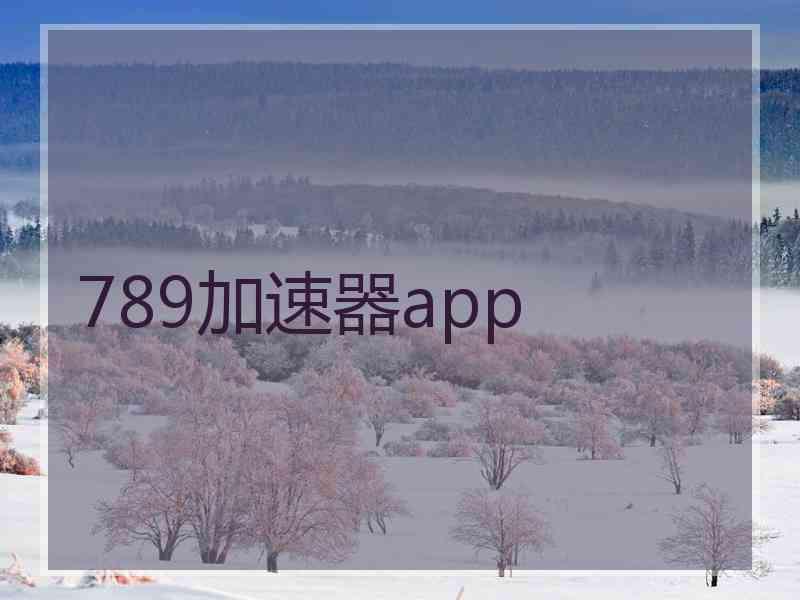 789加速器app