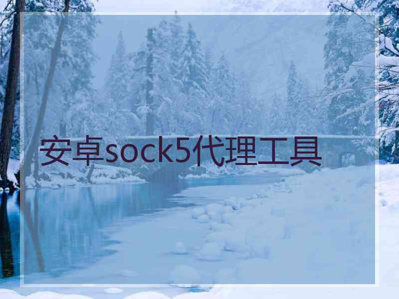 安卓sock5代理工具