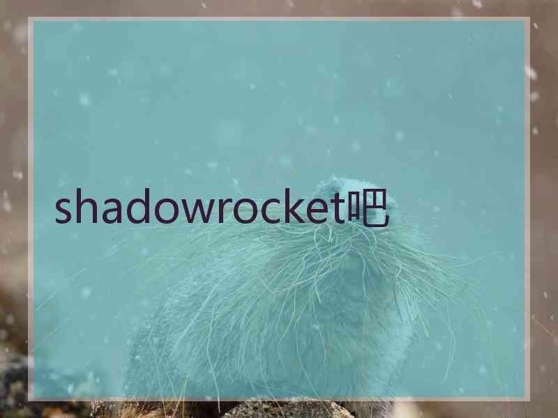 shadowrocket吧