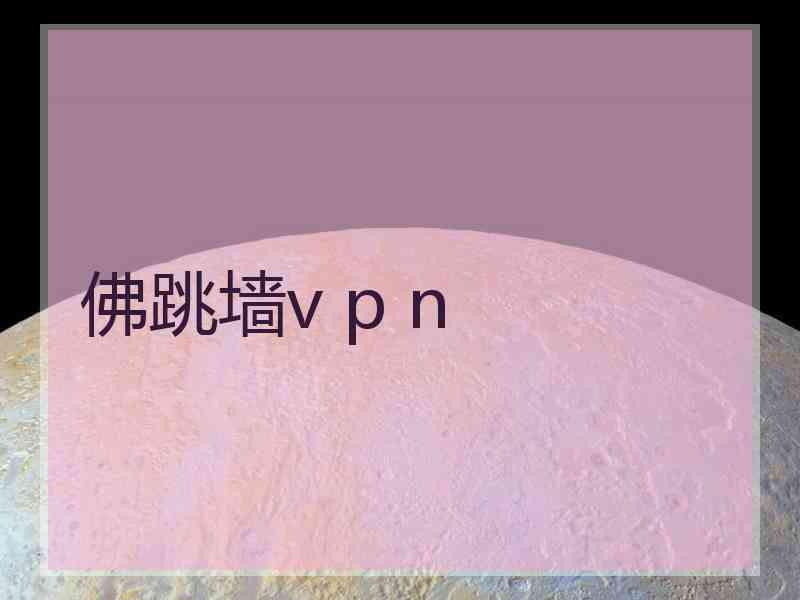 佛跳墙v p n