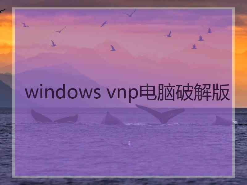 windows vnp电脑破解版