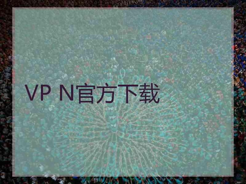 VP N官方下载