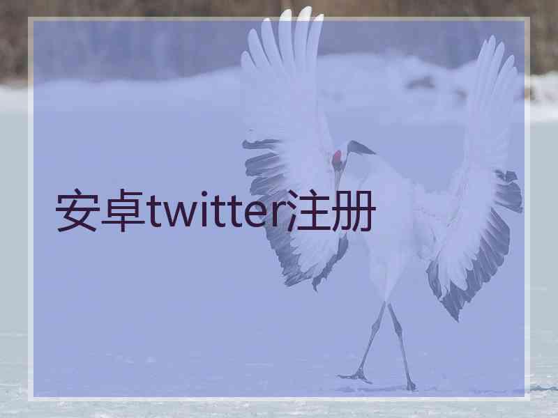 安卓twitter注册