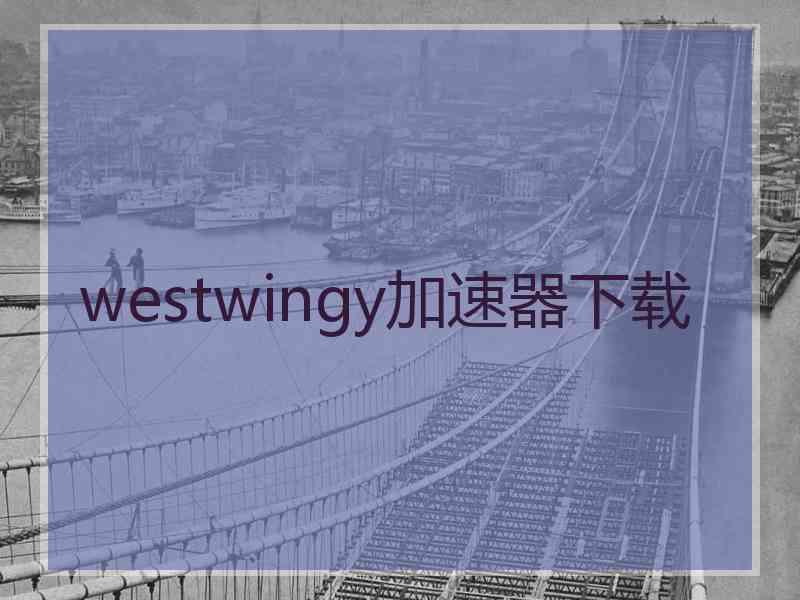 westwingy加速器下载