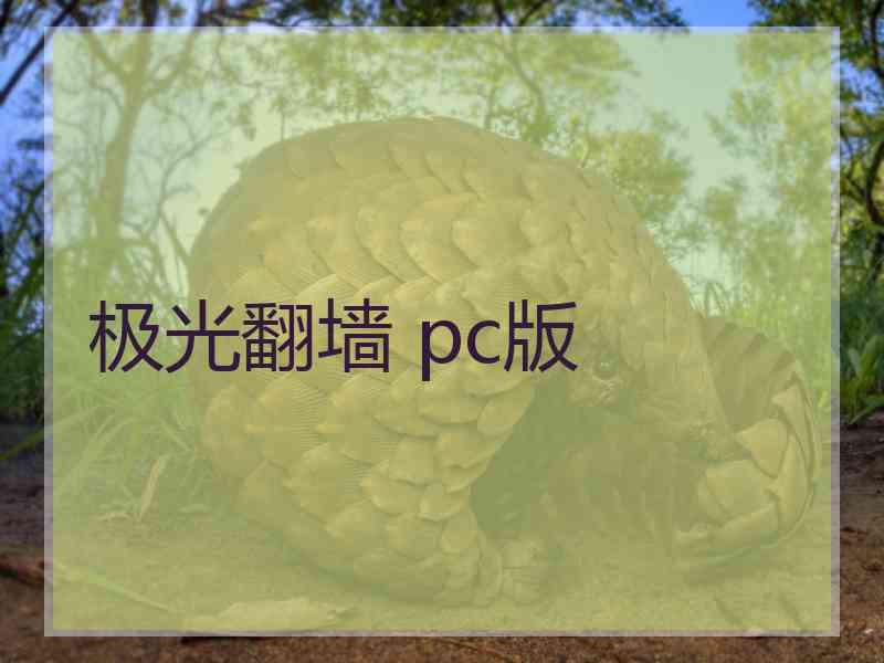 极光翻墙 pc版