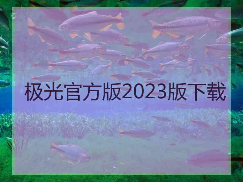 极光官方版2023版下载