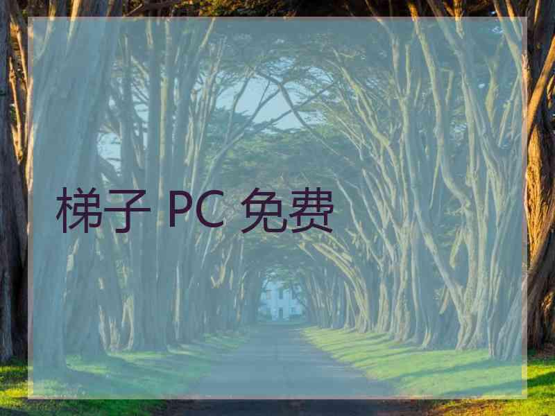 梯子 PC 免费