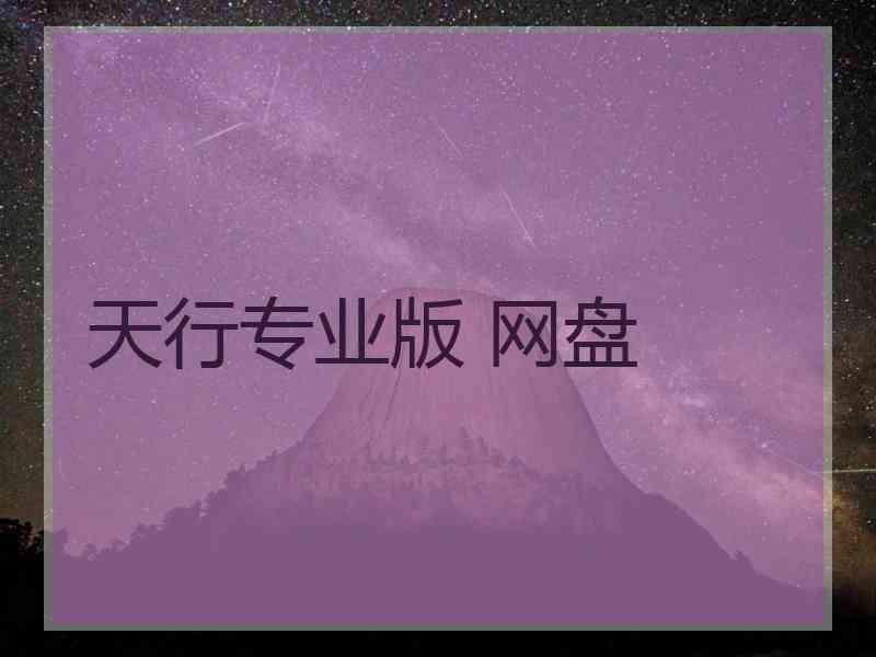 天行专业版 网盘