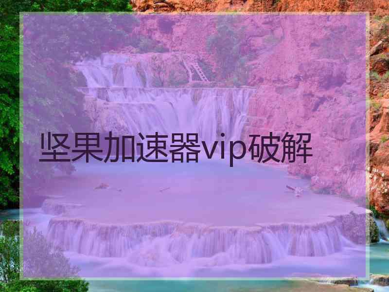 坚果加速器vip破解