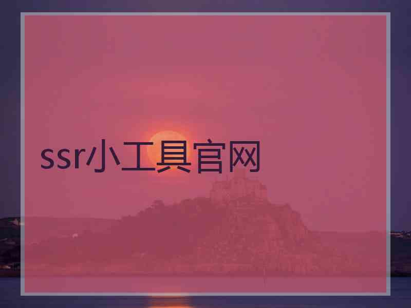 ssr小工具官网