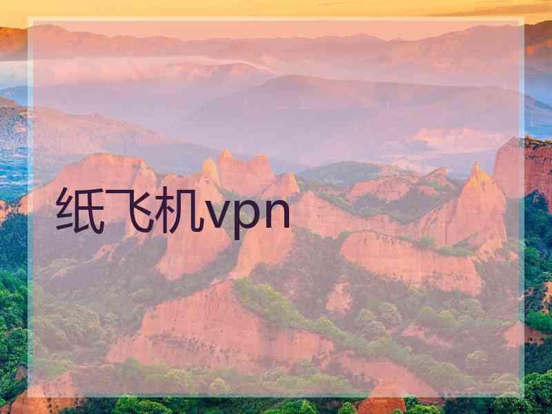 纸飞机vpn