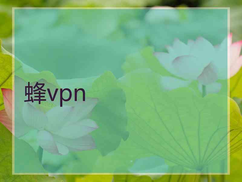 蜂vpn