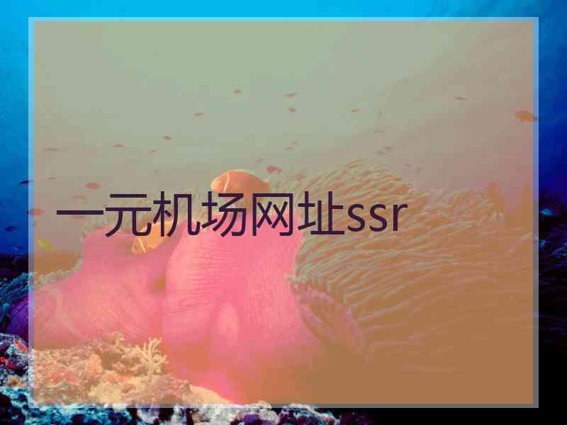 一元机场网址ssr