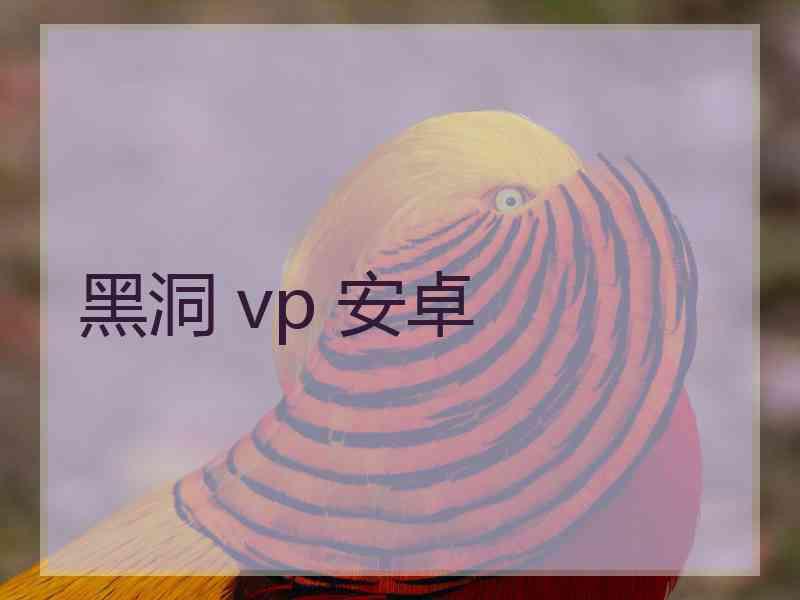 黑洞 vp 安卓