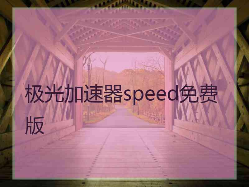 极光加速器speed免费版