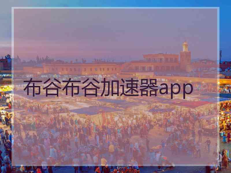 布谷布谷加速器app