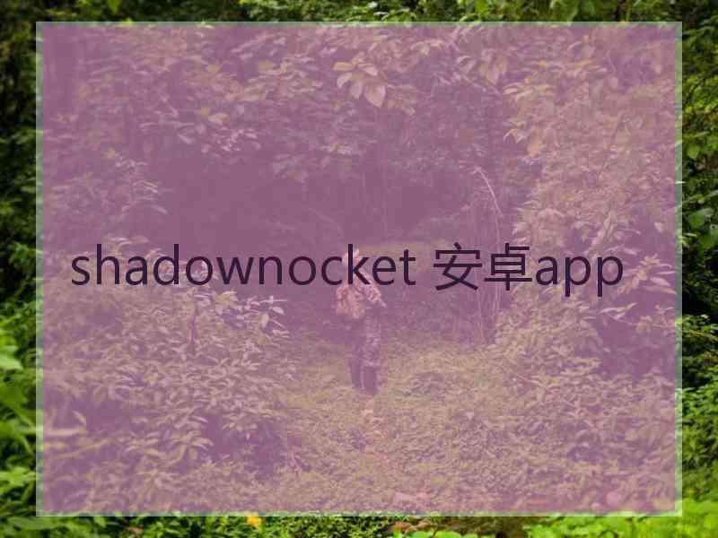 shadownocket 安卓app