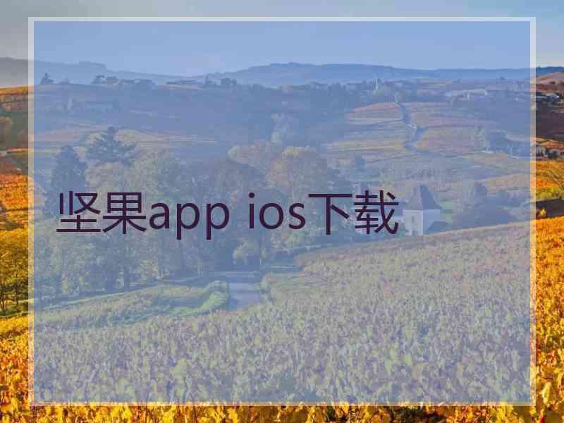 坚果app ios下载