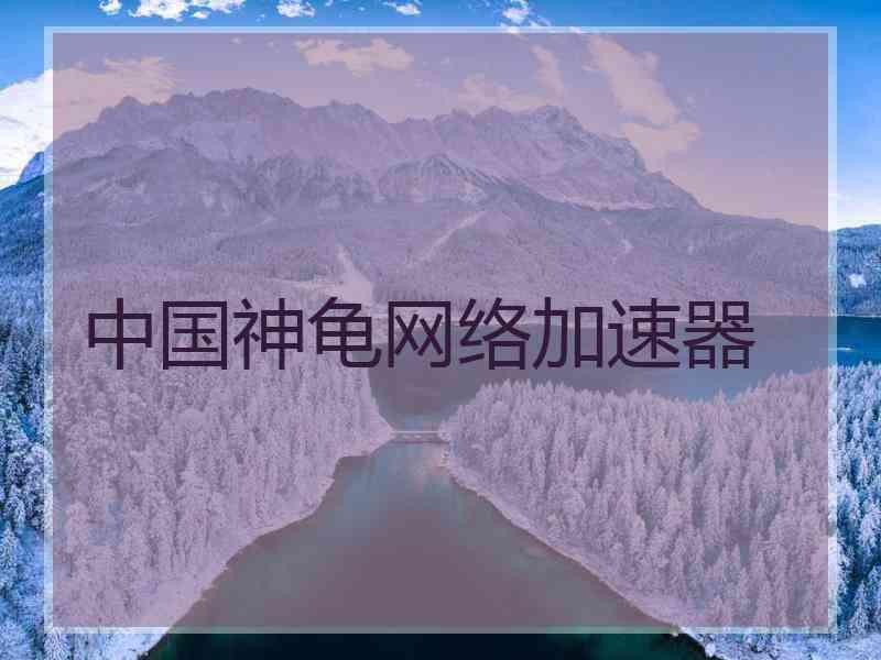 中国神龟网络加速器